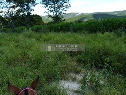 Fazenda/Sítios/Chácaras no bairro Fazenda 719 hectares , em Virgem da Lapa | Eu Corretor