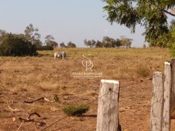 Fazenda/Sítios/Chácaras de 16370000m² no bairro Zona Rural, em Rosário Oeste | Eu Corretor