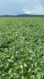 Fazenda/Sítios/Chácaras de 20900000m² no bairro Zona Rural, em Apiacás | Eu Corretor