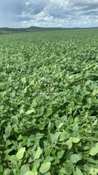 Fazenda/Sítios/Chácaras de 20900000m² no bairro Zona Rural, em Apiacás | Eu Corretor