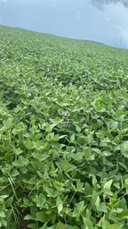 Fazenda/Sítios/Chácaras de 20900000m² no bairro Zona Rural, em Apiacás | Eu Corretor