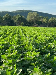 Fazenda/Sítios/Chácaras de 20900000m² no bairro Zona Rural, em Apiacás | Eu Corretor