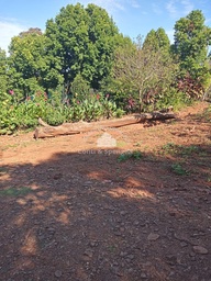 Chácara de 2 quartos, 70m² no bairro Rural , em Horizontina | Eu Corretor