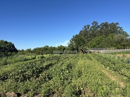 Lote/Terreno de 648m² no bairro João Alves , em Santa Cruz do Sul | Eu Corretor