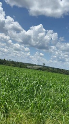 Fazenda/Sítios/Chácaras no bairro Zona Rural, em Brasnorte | Eu Corretor