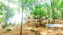 Chácara de 1 quarto, 2500m² no bairro Quintas, em Estância Velha | Eu Corretor