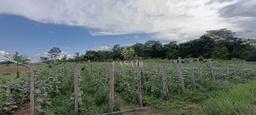 Fazenda/Sítios/Chácaras no bairro Área Rural de Cacoal, em Cacoal | Eu Corretor