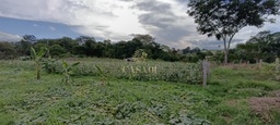 Fazenda/Sítios/Chácaras no bairro Área Rural de Cacoal, em Cacoal | Eu Corretor