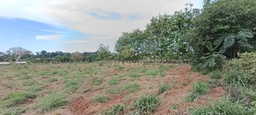 Fazenda/Sítios/Chácaras no bairro Área Rural de Cacoal, em Cacoal | Eu Corretor