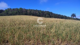 Fazenda/Sítios/Chácaras de 3 quartos, no bairro interior, em Irani | Eu Corretor