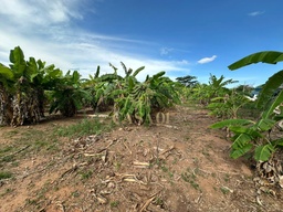 Fazenda/Sítios/Chácaras no bairro Área Rural de Cacoal, em Cacoal | Eu Corretor