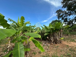 Fazenda/Sítios/Chácaras no bairro Área Rural de Cacoal, em Cacoal | Eu Corretor