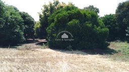 Fazenda/Sítios/Chácaras de 90000m² no bairro Rural Dr Mauricio Cardoso, em Doutor Maurício Cardoso | Eu Corretor