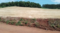 Fazenda/Sítios/Chácaras de 90000m² no bairro Rural Dr Mauricio Cardoso, em Doutor Maurício Cardoso | Eu Corretor