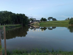 Fazenda/Sítios/Chácaras no bairro zona rural, em Vale do Paraíso | Eu Corretor