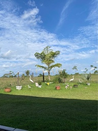 Fazenda/Sítios/Chácaras no bairro zona rural, em Vale do Paraíso | Eu Corretor