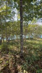 Lote/Terreno de 1m² no bairro Lago Corumbá (Região do Náutico), em Caldas Novas | Eu Corretor