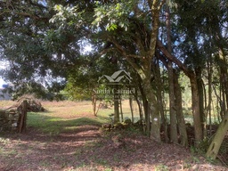 Chácara de 6500m² no bairro Interior , em Santa Cruz do Sul | Eu Corretor