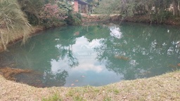 Chácara de 6500m² no bairro Interior , em Santa Cruz do Sul | Eu Corretor