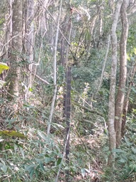 Lote/Terreno de 700m² no bairro Ponunduva , em Pirapora do Bom Jesus | Eu Corretor