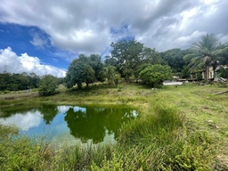 Fazenda/Sítios/Chácaras de 4 quartos, 61m² no bairro Pitanga de Palmares, em Simões Filho | Eu Corretor