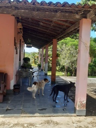 Fazenda/Sítios/Chácaras de 3 quartos, 100m² no bairro Pitanga de Palmares, em Simões Filho | Eu Corretor