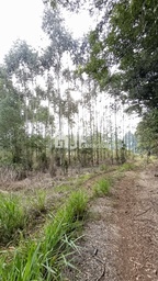 Chácara de 2500m² no bairro Rincão do Cascalho , em Portão | Eu Corretor