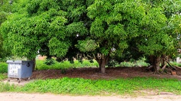 Lote/Terreno no bairro Morada Digna, em Cacoal | Eu Corretor