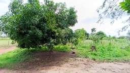 Lote/Terreno no bairro Morada Digna, em Cacoal | Eu Corretor