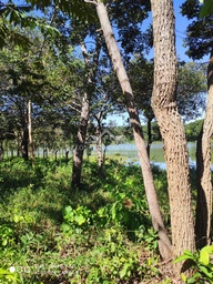 Lote/Terreno Comercial de 2m² no bairro MANSÕES ALDEIA DO LAGO, em Caldas Novas | Eu Corretor