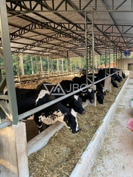 Fazenda/Sítios/Chácaras de 3 quartos, no bairro Centro, em Juiz de Fora | Eu Corretor