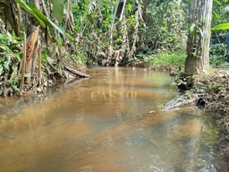 Chácara no bairro linha 208, em Cacoal | Eu Corretor