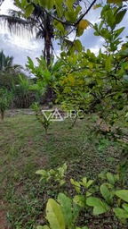 Fazenda/Sítios/Chácaras de 6 quartos, no bairro Centro , em Caratinga | Eu Corretor