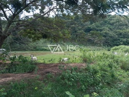 Fazenda/Sítios/Chácaras no bairro Centro , em Cambuci | Eu Corretor