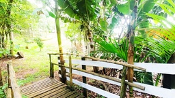 Chácara de 2550m² no bairro Campo Grande, em Estância Velha | Eu Corretor