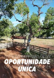 Fazenda/Sítios/Chácaras no bairro ZONA RURAL, em Aquidauana | Eu Corretor