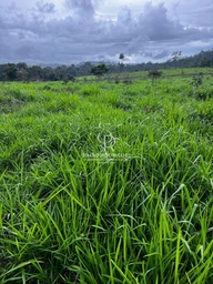 Fazenda/Sítios/Chácaras no bairro Estrada do Cafundó , em Aripuanã | Eu Corretor