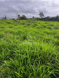 Fazenda/Sítios/Chácaras no bairro Estrada do Cafundó , em Aripuanã | Eu Corretor