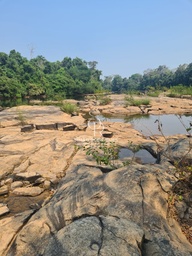 Fazenda/Sítios/Chácaras no bairro Estrada do Cafundó , em Aripuanã | Eu Corretor