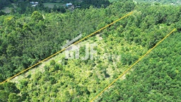 Chácara de 44000m² no bairro Macaco branco , em Portão | Eu Corretor