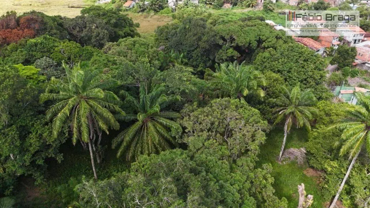 Lote/Terreno Comercial de 14m² no bairro Morro de São Paulo, em Cairu | Eu Corretor