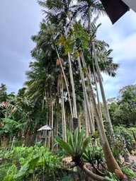 Casa de 3 quartos, no bairro Metropol, em Criciúma | Eu Corretor