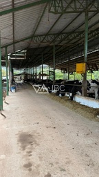 Fazenda/Sítios/Chácaras no bairro Centro , em Itambacuri | Eu Corretor