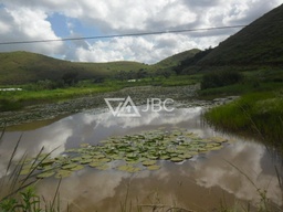 Fazenda/Sítios/Chácaras no bairro Centro , em Novo Cruzeiro | Eu Corretor