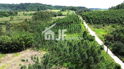 Chácara de 2 quartos, 50000m² no bairro Pareci Velho , em Capela de Santana | Eu Corretor