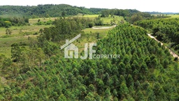 Chácara de 2 quartos, 50000m² no bairro Pareci Velho , em Capela de Santana | Eu Corretor