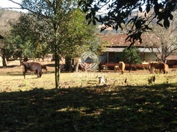 Fazenda/Sítios/Chácaras de no bairro interior, em Irani | Eu Corretor