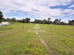 Fazenda/Sítios/Chácaras no bairro rural, em Poconé | Eu Corretor