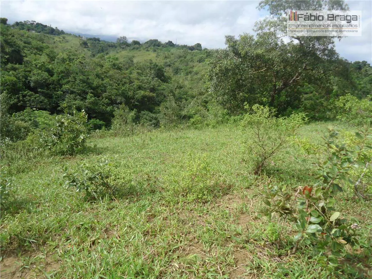 Fazenda/Sítios/Chácaras de 43000m² no bairro zona rural, em Santo Antônio de Jesus | Eu Corretor