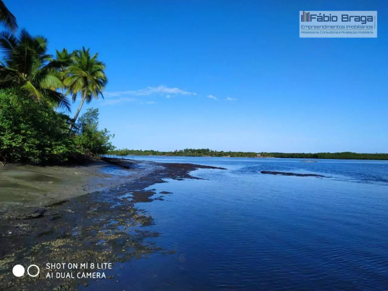 Fazenda/Sítios/Chácaras de 5410000m² no bairro REGIÃO LITORANIA, em Ituberá | Eu Corretor